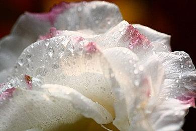 动作角色扮演游戏《驱灵者：新伊甸的幽灵》新预告